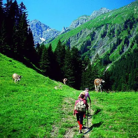 Krone 施科佩尔瑙